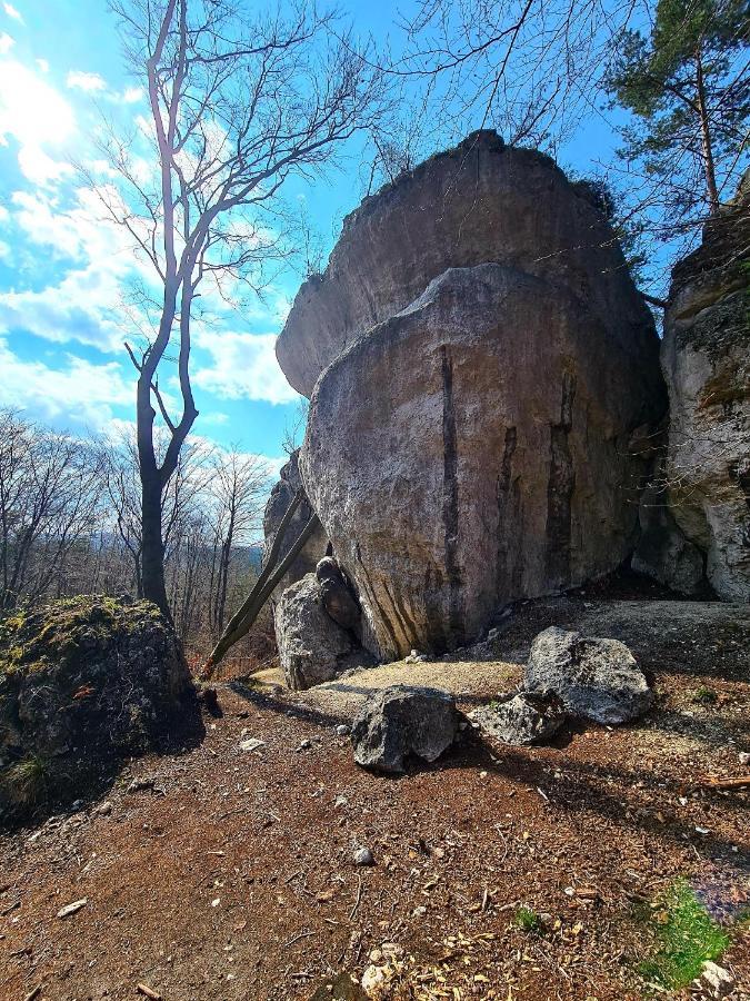 Cuda Wianki Zdow